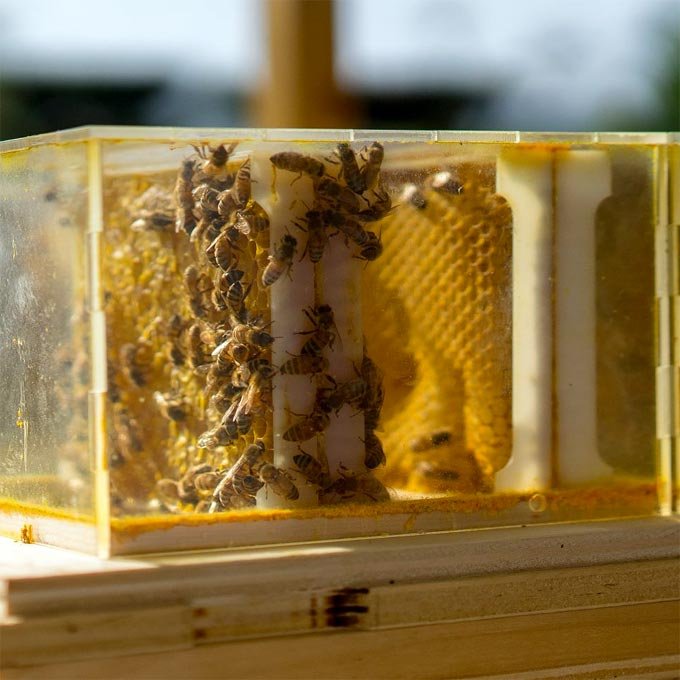 Umbria miele Norcia miele Sibillini